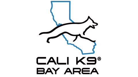 Dog training videos