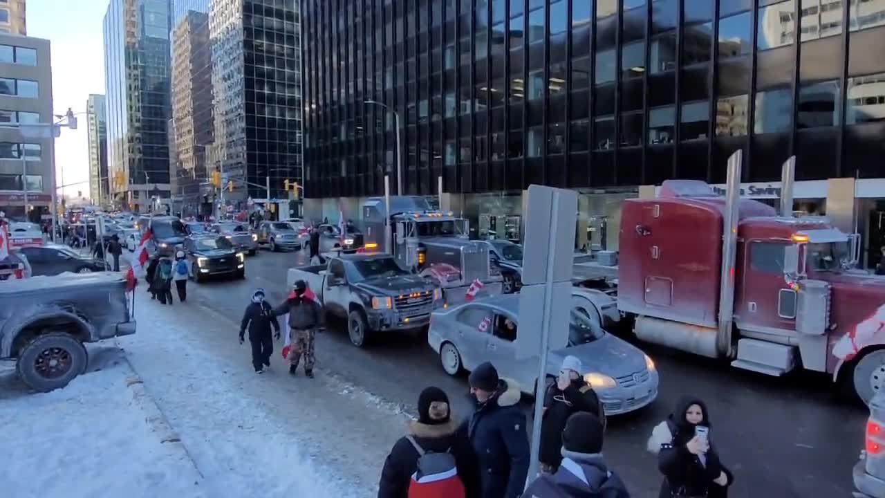 Bit of a traffic jam in Ottawa