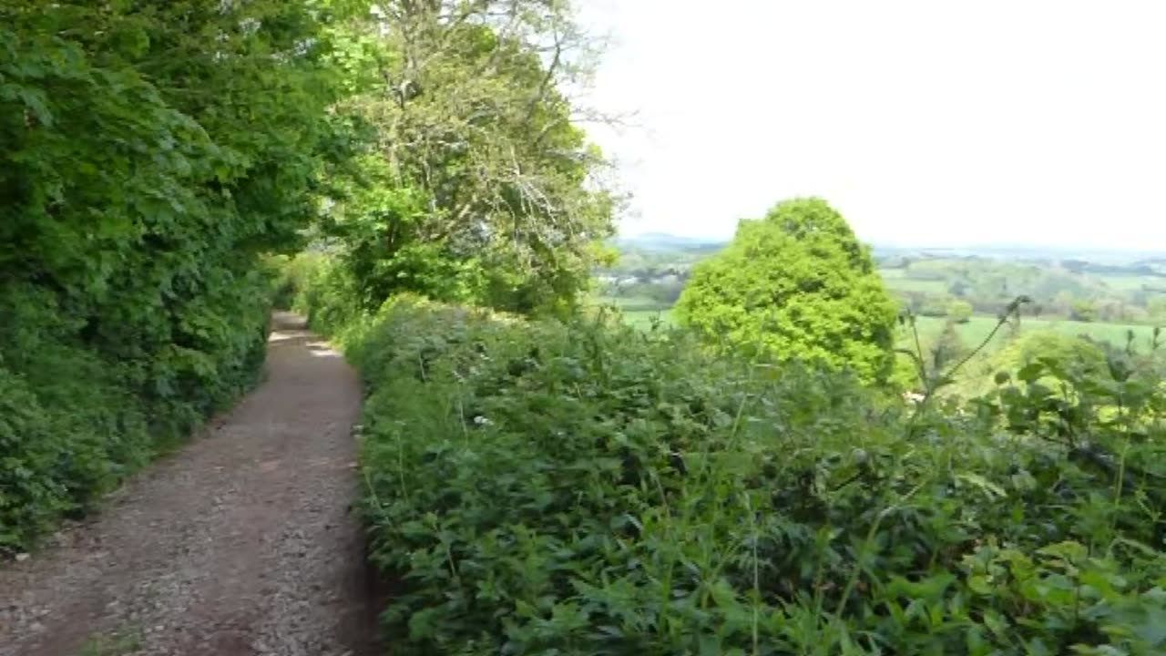 UK - the Boundary Stones of Totnes