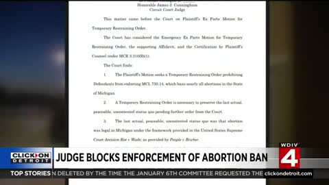 Michigan abortion battle: Judge blocks enforcement of abortion ban 302 viewsAug 2, 2022