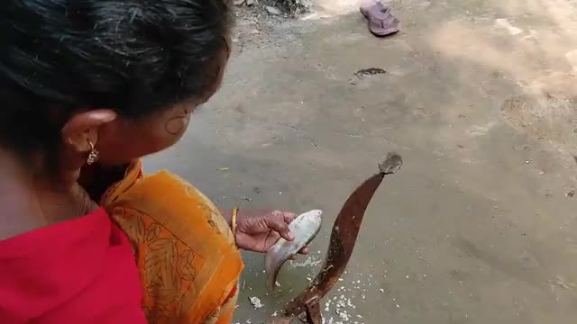 River FOLI FISH cooking recipe with fresh MULO & BEGUN by santali TRIBE couple-13