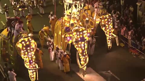 Kandy dalada perahera/ Newara perahera/ Mahanuwara perahera/ dalada perahera in Sri Lanka