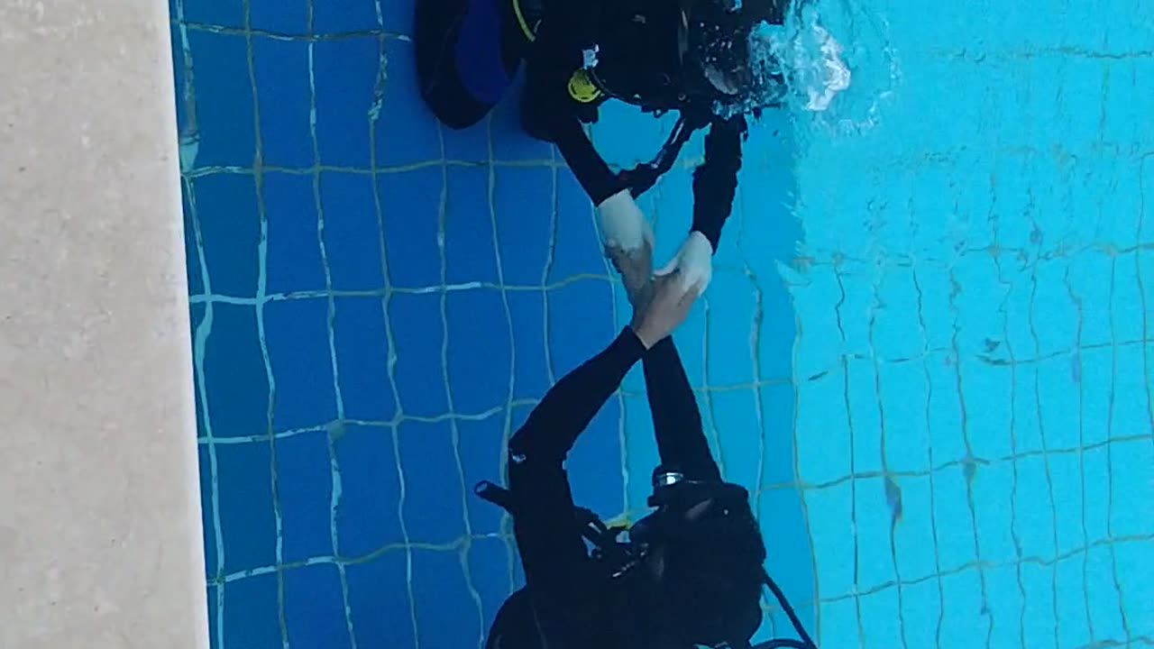 Diving