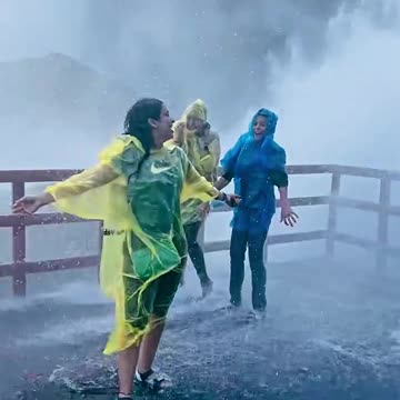 Shorts Video #shorts #funny #shortsvideo #viralshortsvideo #newshortsvideo #newshorts #funnyshorts