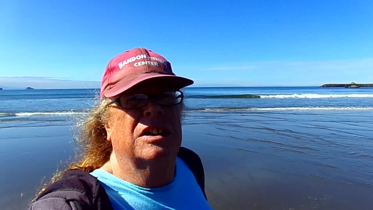 Today's walk on the beach 7/3/22: