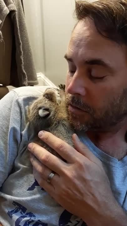 Koopur-Our Pet Raccoon-Baby 'Coos and Purrs'