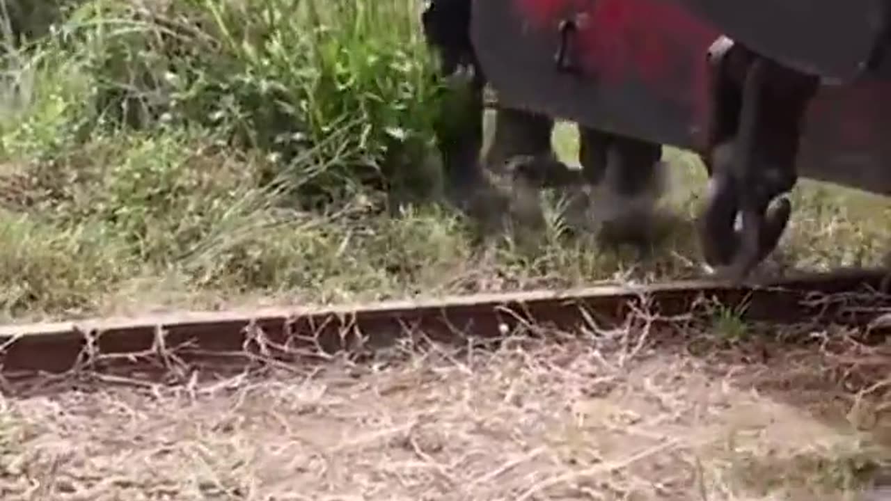 Railway Track Repair