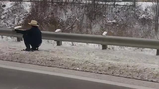 The Joys of Living in the Country! Haha, the Amish Are Skiing!!