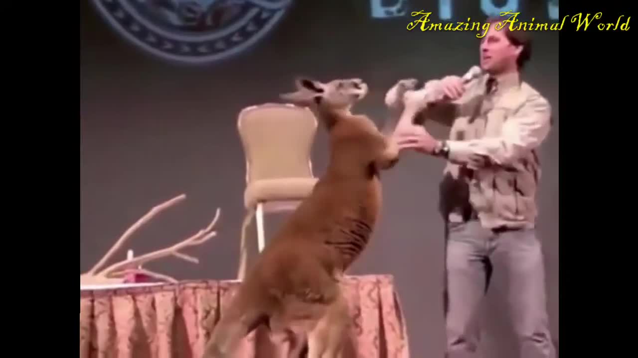 Badass Kangaroo