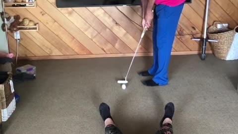 A New Kind of Mini Golf Trick Shot