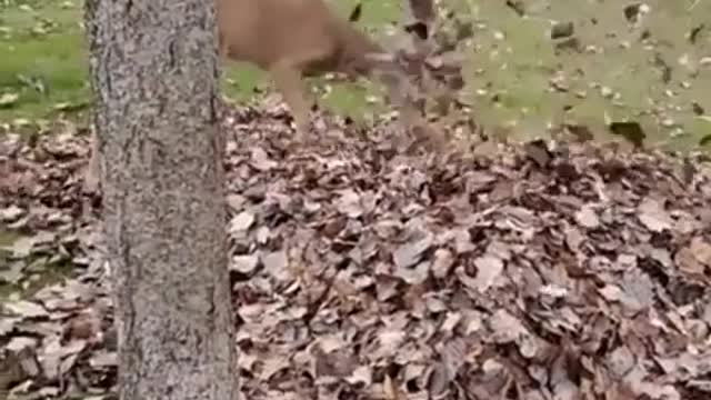 Wow, such joy and fun. 😍