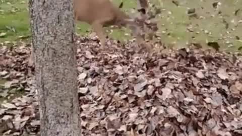 Wow, such joy and fun. 😍