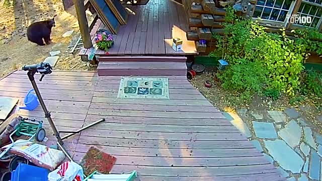 100 fails of the year