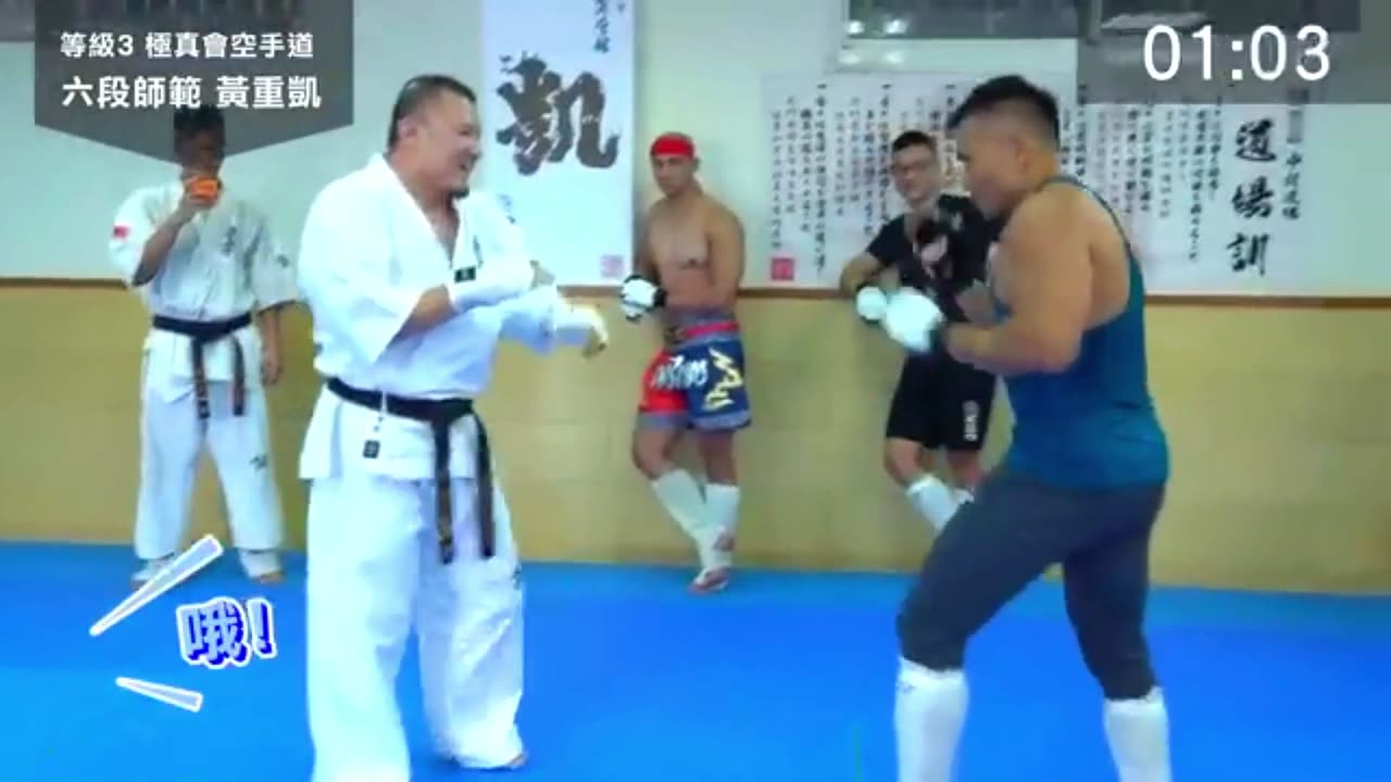 KYOKUSIN KARATE VS AMATEUR MMA