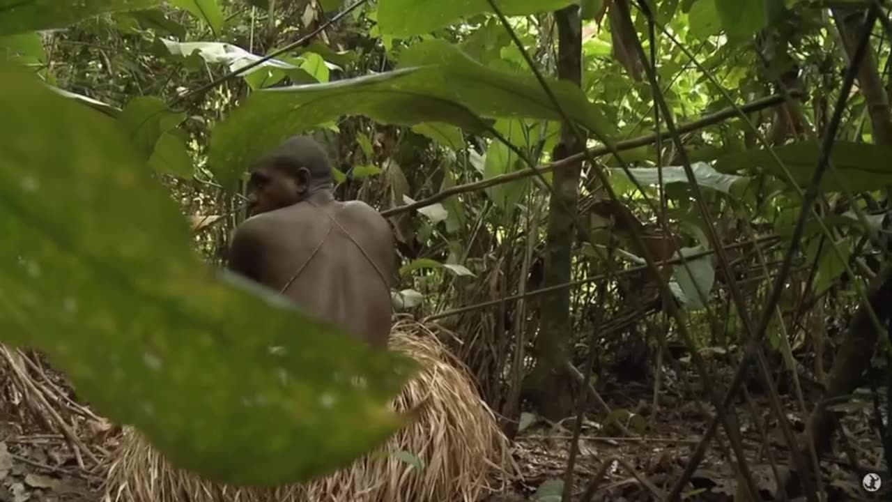 Watching Remote Tribes Hunt!