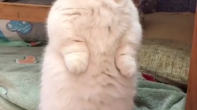 Who's there talking about me? 😂😍