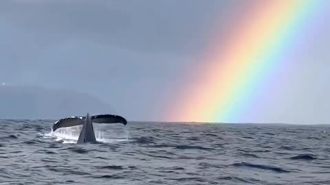 Wow! God's Beautiful World