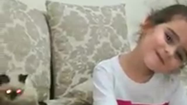 so funny time between lolo and her kitten kity