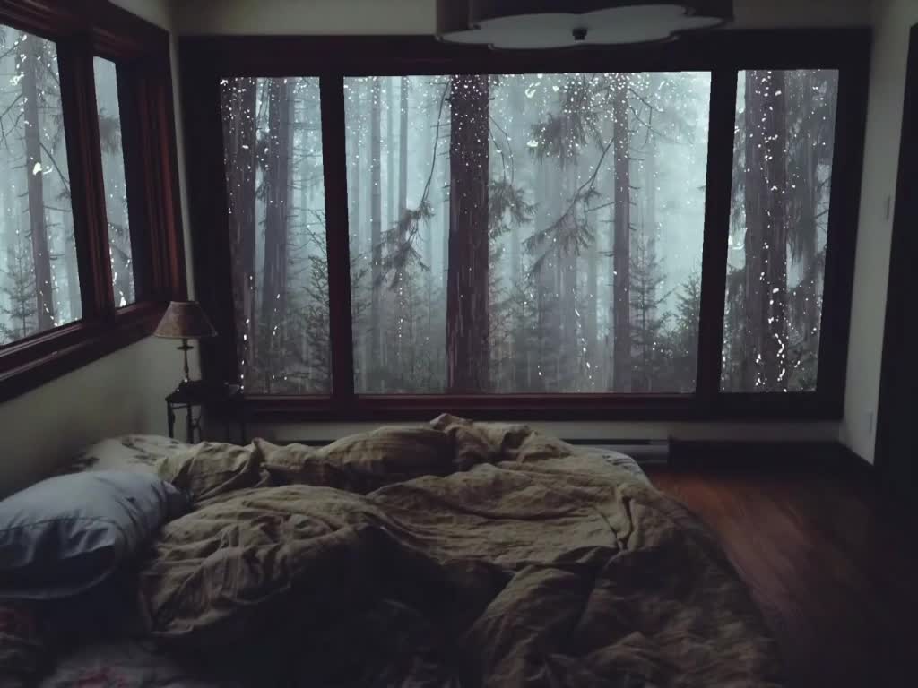 Som de Chuva para Dormir - Barulho de Chuva Relaxante na Floresta Enevoada sem Trovões