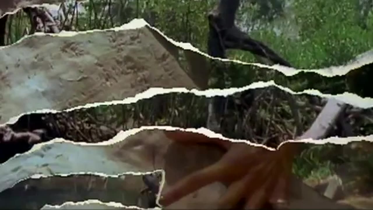 Hungry Like the Wolf, Duran Duran 1982