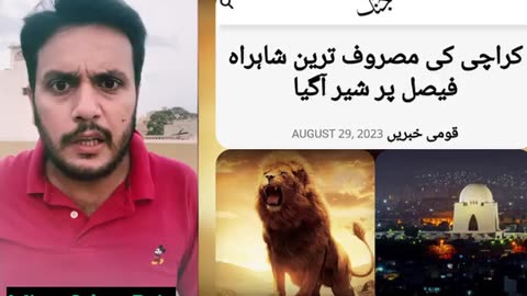 Loin on roads of karachi