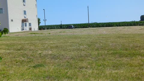 Crop Duster Flies Close