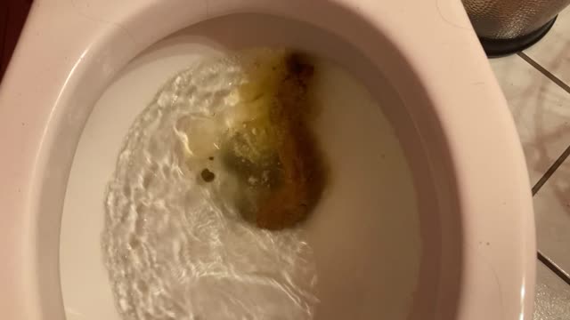 turd flush part 4