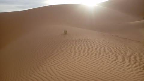 Sahara sand