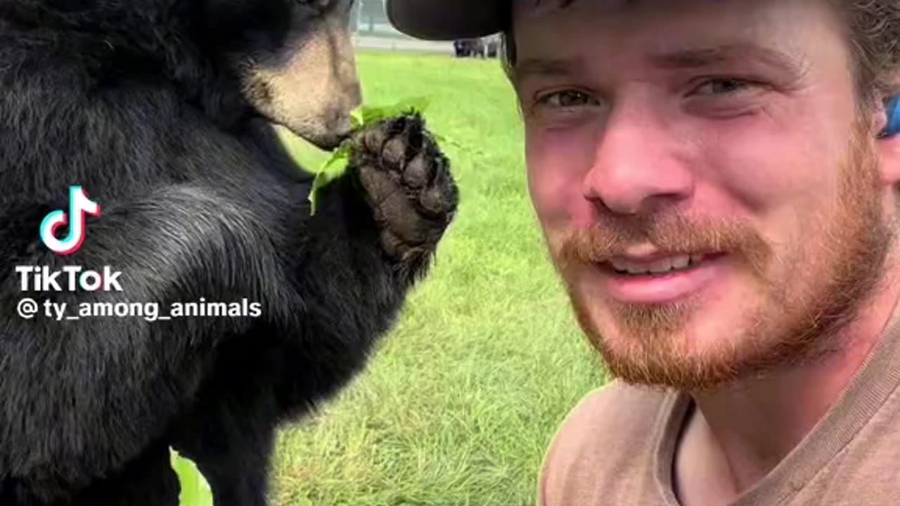 Animals can do this haha bear funny