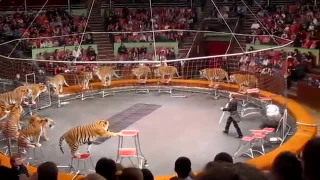 Russian Circus with lion