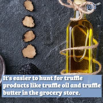 What Are Truffles and Why Are They So Expensive?