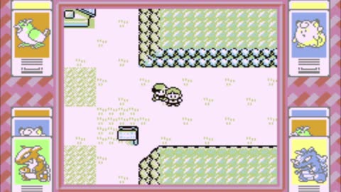 Pokémon Red-Taking On Brock