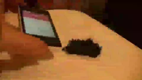 graphenoxid smartphone