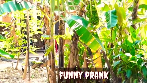 Funny Prank with animal