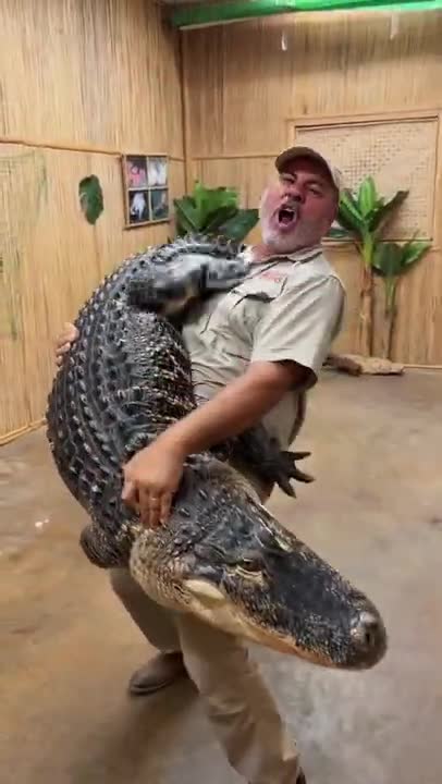 FUNNY AND CUTE ANIMALS 🐍⚕️🐍