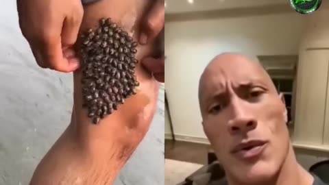 The rock satisfying 😢