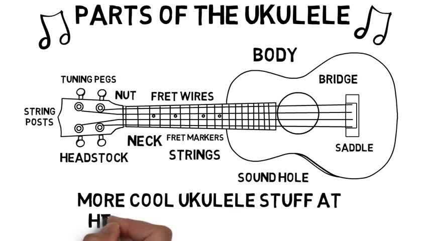 Ukulele