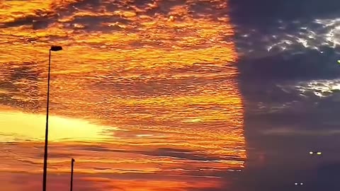 Bizarre - Florida right now