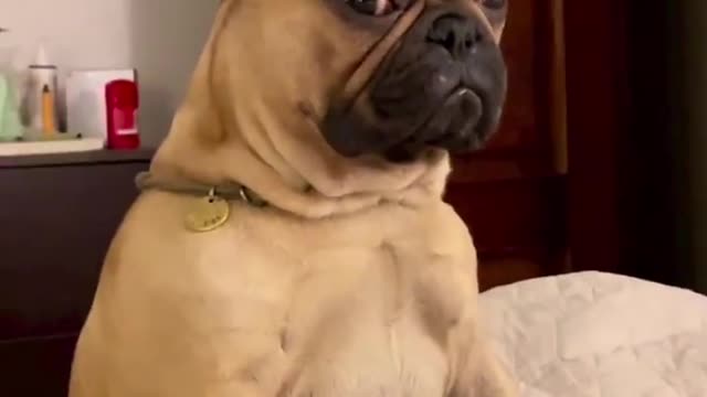Monday mood 👀