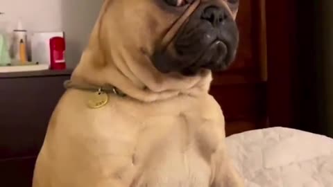 Monday mood 👀