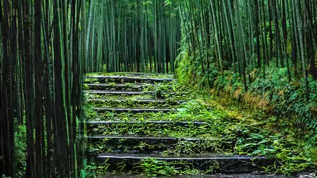 No matter what the scenery along the way, we must learn to appreciate