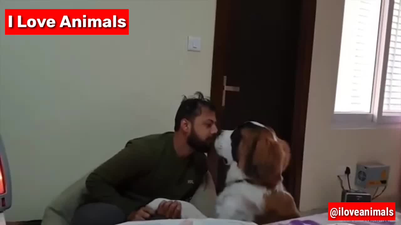 Dogs & Animals Say "I LOVE YOU" Human - I Love animals