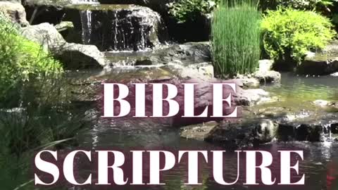 Bible Scripture for the Day!