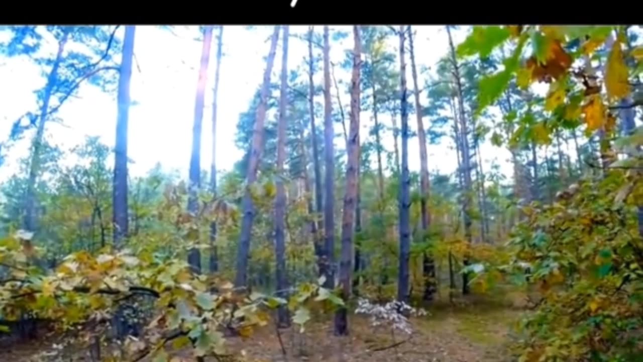 Grizzly Bear chasing a Cyclist 😱