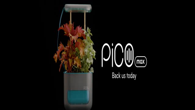 Pico Max: Grow a Garden Anywhere