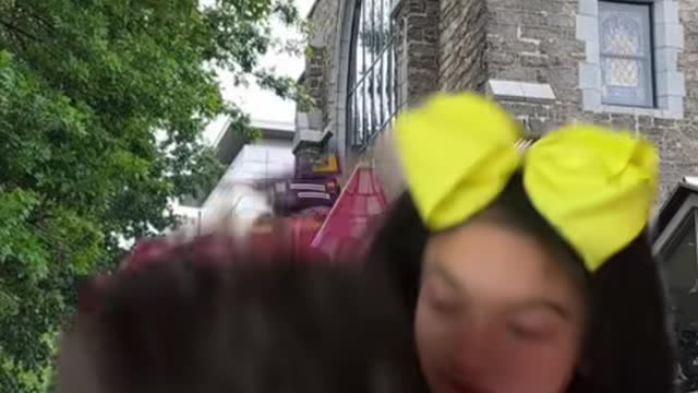 es viernes y la paloma lo sabe