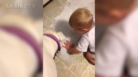 Adorable Babies Playing With Dogs and Cats - Funny Babies-2021