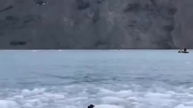 These two penguins are drifting on the glacier