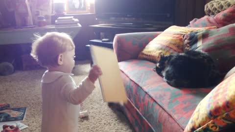 Baby & cat funny video