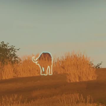 Why are you leaving? Hunter Call of the Wild